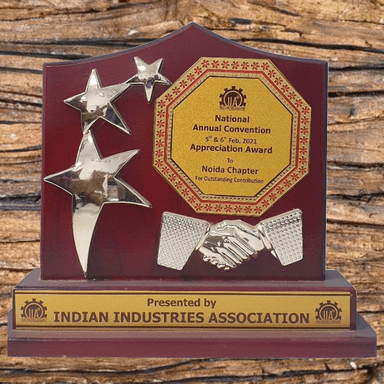 Appreciation Award presented to the Noida Chapter by Indian Industries Association for outstanding contribution at the National Annual Convention, Feb 2021.